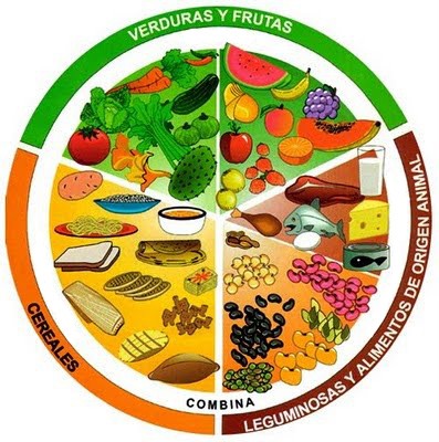 Alimentos fuente de fibra Alimentos fuente de fibra
