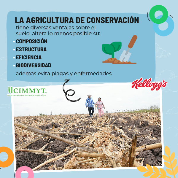 La agricultura de conservación
