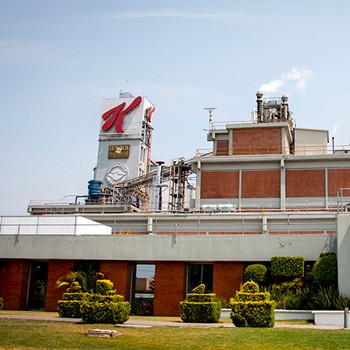 imagen artículo imagen artículo