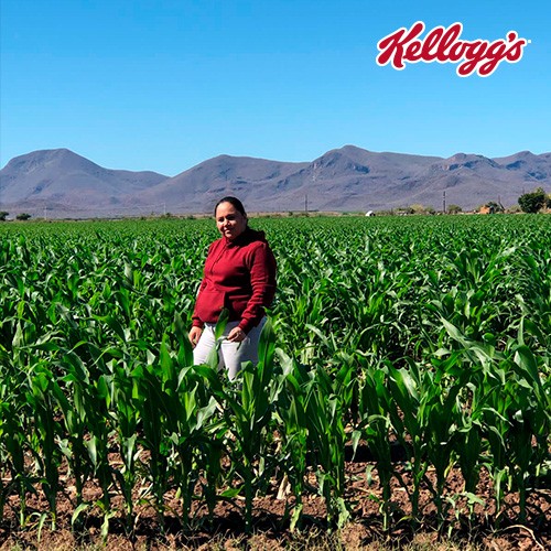 Kellogg y CIMMYT brindan capacitaciones y herramientas que han cambiado la vida de los productores
