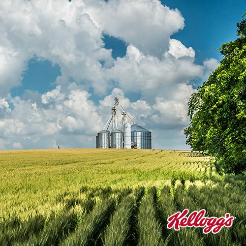 Día Internacional de la Tierra