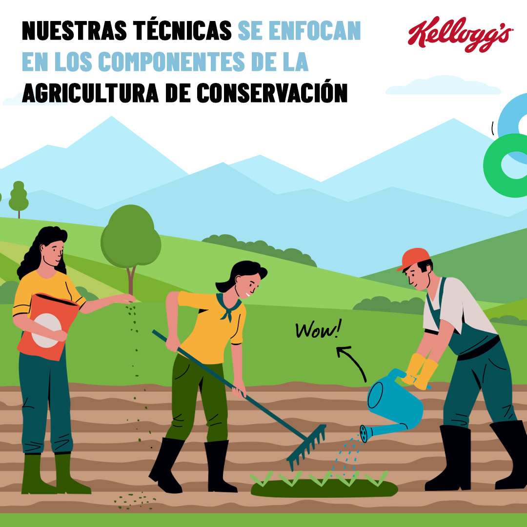 Nuestras técnicas se enfocan en los componentes de la agricultura de conservación