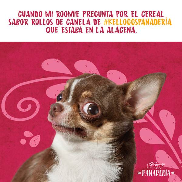Meme mi roomie