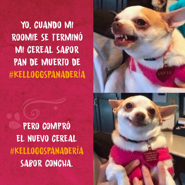 Meme se terminó el cereal