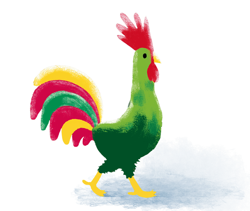 Gallo