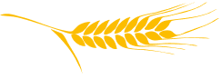 espiga