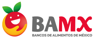 logo BAMX