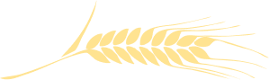 espiga