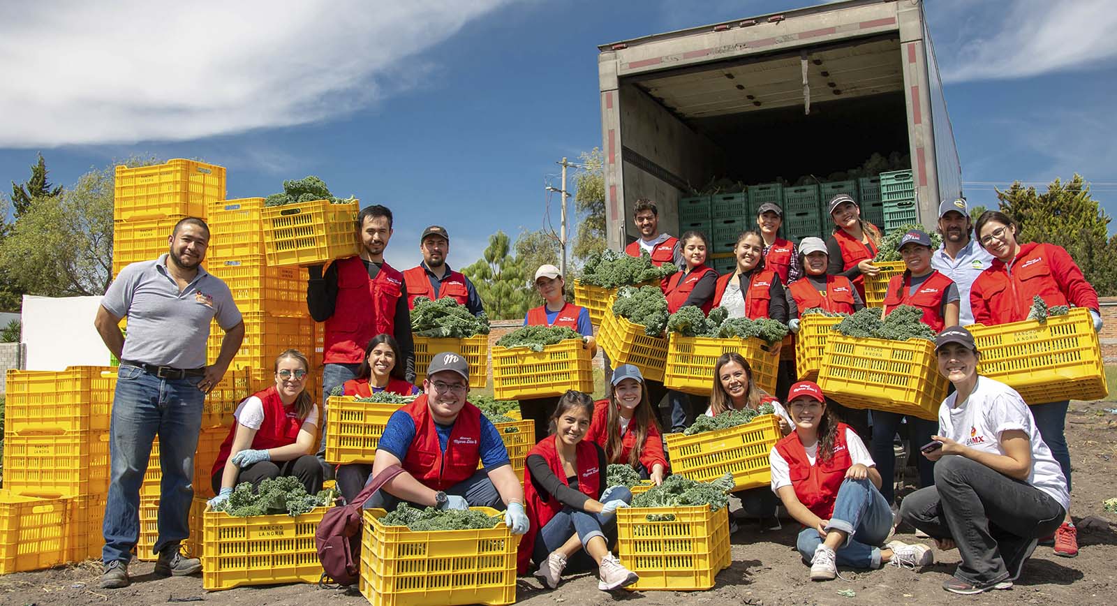 Iniciativas de voluntariado