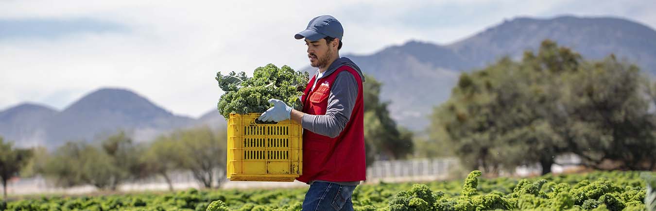 Sustentabilidad en nuestras operaciones